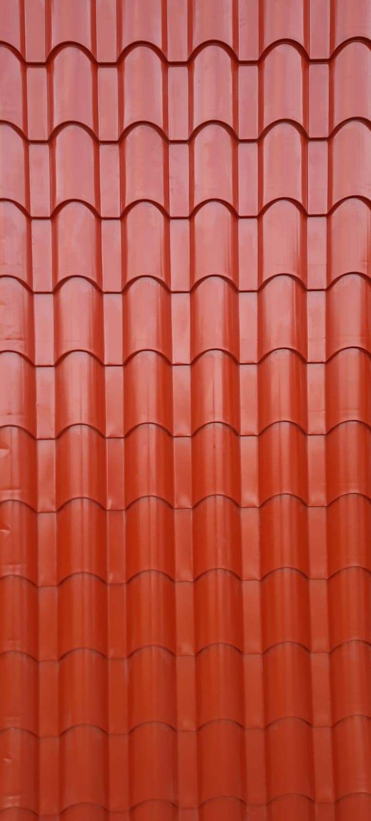 Color Options - Image 3